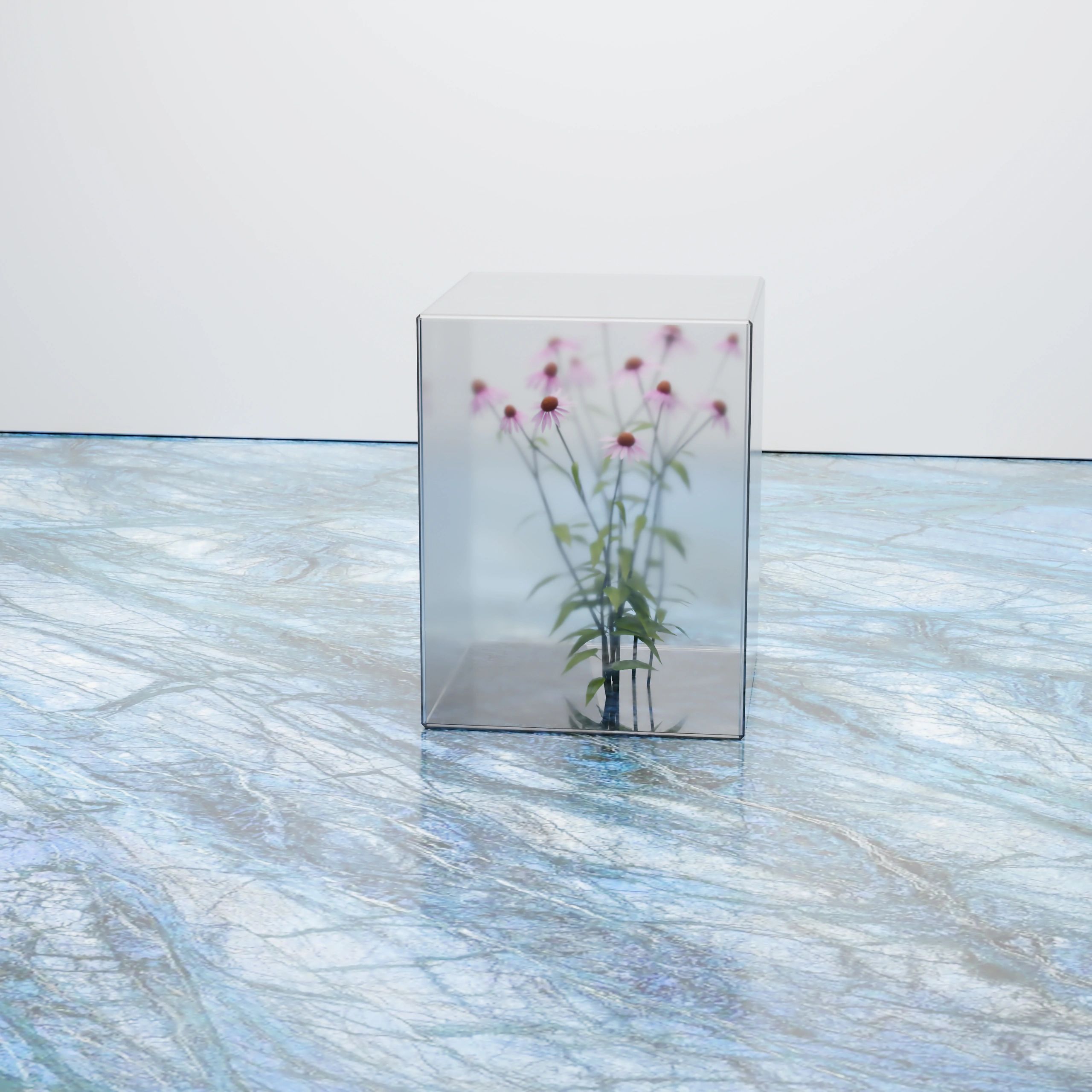 Surreal floral arrangement enclosed in a transparent cube